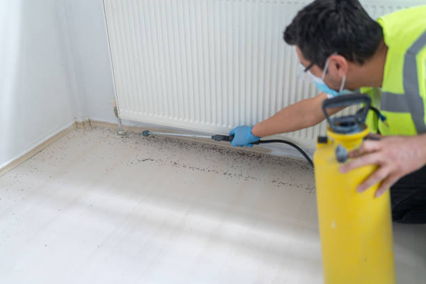 Best Local Pest Control Services  in Centerport, NY