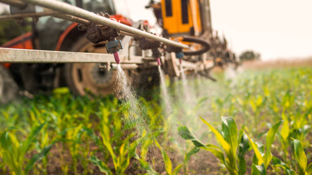 Best Commercial Pest Control Services  in Centerport, NY